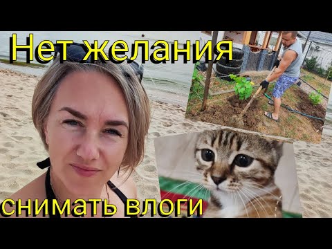 Видео: Влог# 664 Переезд на юг🌞 Нет желания снимать влоги😒Посадили виноград 🍇