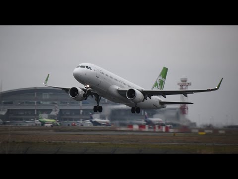 Видео: Осенний споттинг в курумоче/ S7 в уникальной артливрее