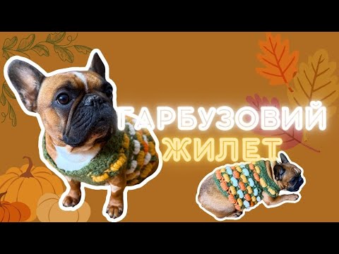 Видео: Перетворюю бульдога на гарбузик! 🐶 Мій новий дизайн жилета гачком