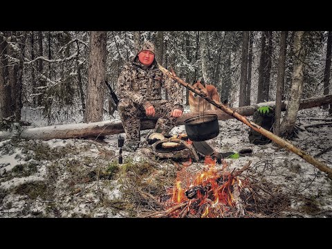 Видео: КОГДА ХОЛОД ДЫШИТ В СПИНУ. ТАЁЖНАЯ ИЗБА СТАЛА СПАСЕНИЕМ ДЛЯ ОХОТНИКОВ В ПЕРВЫЕ МОРОЗЫ.