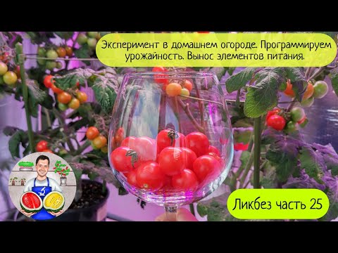 Видео: Ликбез часть 25 (2022). День 48. Домашний огород. Эксперимент.