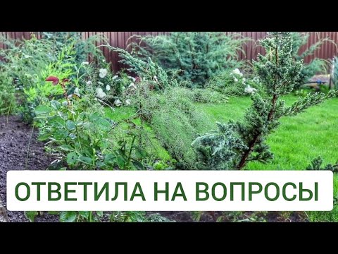 Видео: ОТВЕТИЛА НА ВОПРОСЫ. 26.08.2024г. БЕЛАРУСЬ, ГОМЕЛЬСКАЯ ОБЛАСТЬ