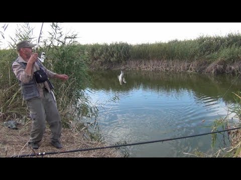 Видео: Рыбалка в низовьях Чу