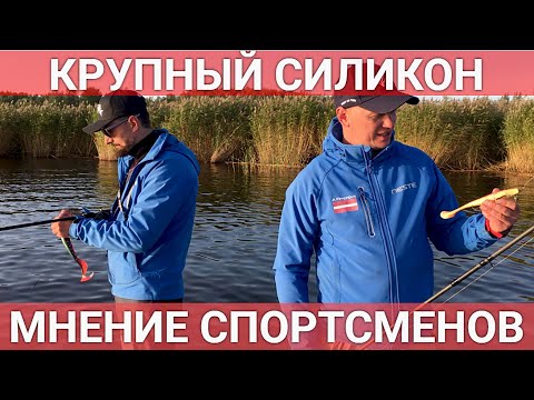 Видео: Крупный СИЛИКОН! Мнение чемпионов Латвии.