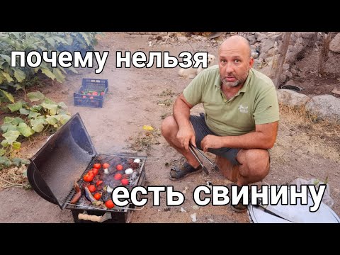 Видео: К чему я так и не привыкла живя в Турции 9 лет? Почему турецкое НЕТ мы понимаем как ДА ?