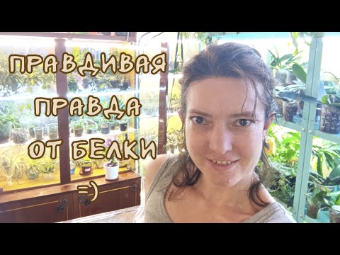 Видео: Разоблачение Белки. Интриги, Расследования, Орхидеи и Дракон