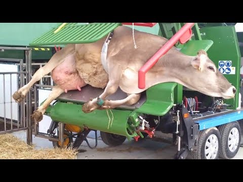 Видео: Производство, от Которого у Вас Пойдут Мурашки По Коже | Топ 7