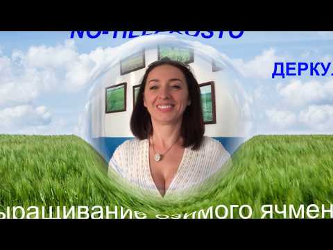 Видео: Выращивание озимого ячменя. Уменьшение нормы высева. 30мая2019г.
