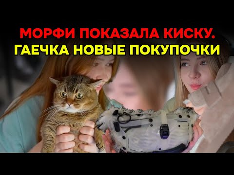 Видео: МОРФИ ГАЕЧКА И СТРОГО ОБСУЖДАЮТ ЖЕНСКИЕ ШТУЧКИ