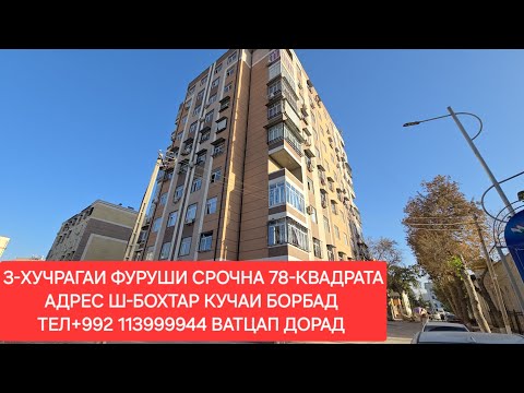 Видео: 2-ХУЧРАГАИ ФУРУШИ ДАР Ш-БОХТАР ЧИСЛОИ 31,10,2025,СОЛ.