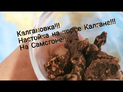 Видео: Калгановка!!!Настойка корня Калгана!!! На Самогоне!!!