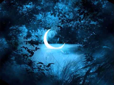 Видео: Е.Анегин-Луна