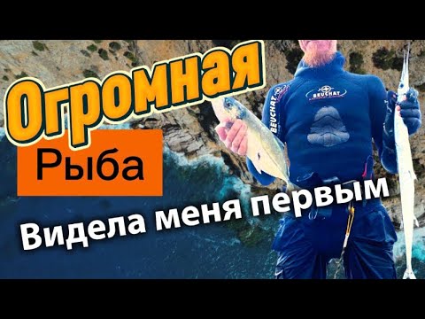 Видео: Подводная охота в Средиземном море — Сарган, ставрида и огромная неизвестная рыба
