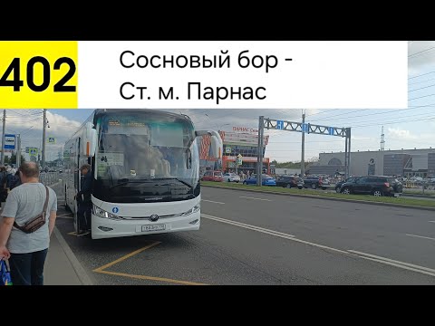 Видео: Автобус 402. Сосновый Бор - Ст. м. Парнас
