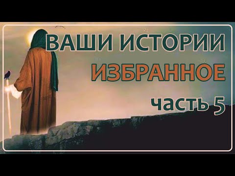Видео: Ваши Истории - Избранное (часть 5)