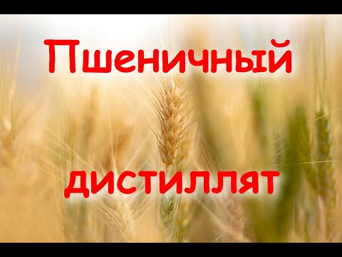 Видео: Пшеничный дистиллят. + Дегустация.