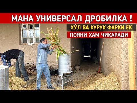 Видео: МАНА УНИВЕРСАЛ ДРОБИЛКА ХУ́Л КУРУК ФАРКИ ЁК ПАХТА ПОЯНИ ХАМ ЧИКАРАДИ СИЗ КУТГАН ВИДЕО ! ХОРАЗМ БОЗОР