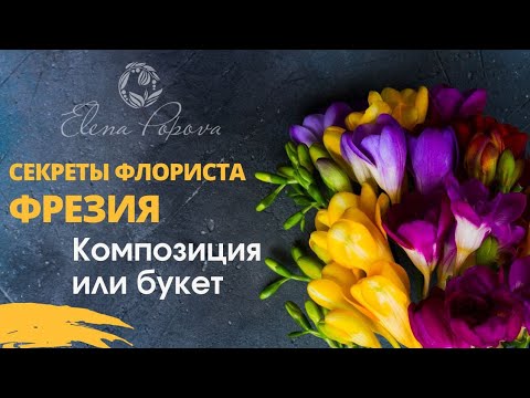 Видео: Секреты Флориста. Фрезия бутоны и полный роспуск. Цветочная композиция и букет невесты с фрезией