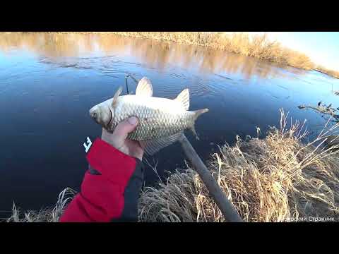 Видео: Рыбалка на паук с берега, при помощи березового шеста.