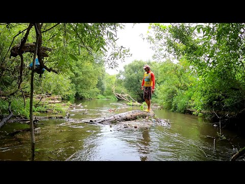 Видео: Чистим завалы на реке Северка