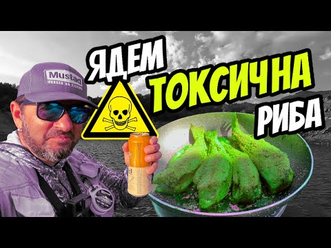 Видео: Catch & Cook  на НАЙ-ОТРОВЕНИЯ язовир! РИБОЛОВ на КОСТУР на язовир Тополница