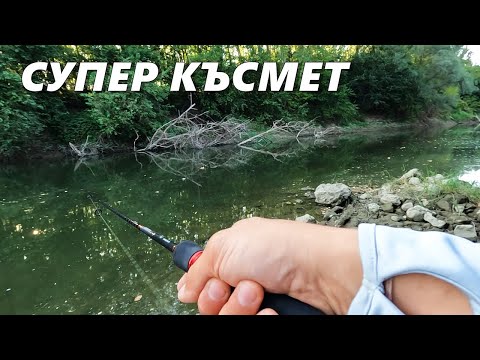 Видео: ПЪРВАТА ми ЩУКА на СПИНИНГ от РЕКА - ХВАНАХ три РАЗЛИЧНИ вида ХИЩНИ РИБИ
