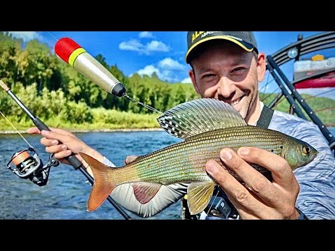 Видео: Незабываемая рыбалка ВНЕ ЦИВИЛИЗАЦИИ на аэролодке Аллигатор ! Серия 2