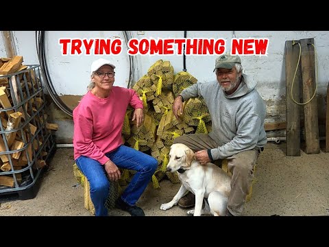 Видео: Пробуем что-то новое и не теряем времени даром!