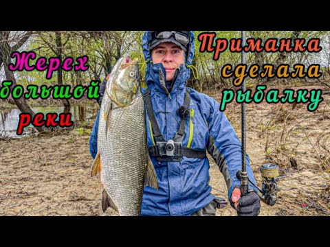Видео: ЖЕРЕХ БОЛЬШОЙ РЕКИ! Эта приманка должна быть у всех!
