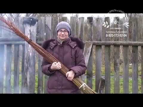 Видео: Плантация сортовой ивы осенью. Варка и очистка прутьев. Купить черенки ивы Американки гигантской.