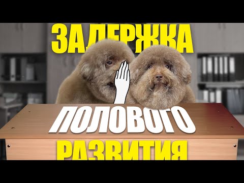 Видео: Истории с последней парты
