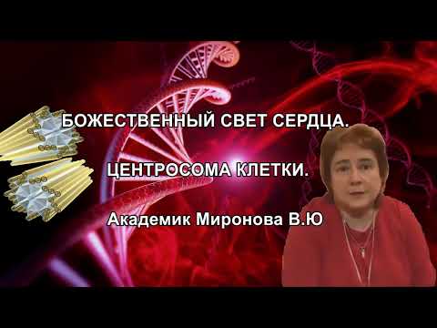 Видео: БОЖЕСТВЕННЫЙ СВЕТ СЕРДЦА. ЦЕНТРОСОМА КЛЕТКИ. Академик В.Ю Миронова