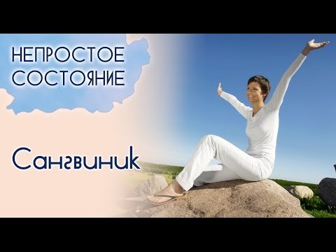 Видео: Кто такой сангвиник? | Непростое состояние [06/13]