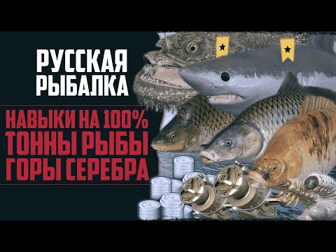 Видео: Новый Путь в РР4 #11 🔴 Десятки Трофеев | Огромный Фарм Серебра | Прокачка Навыков на 100%