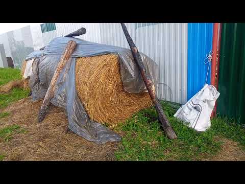 Видео: Моё хозяйство/сено/лесная сетка/ворота