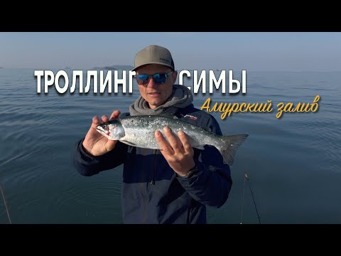 Видео: Троллинг Симы в Амурском заливе