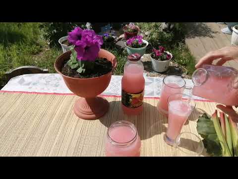 Видео: У вас есть ревень? Вкусный квас из ревеня в жару.