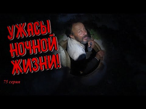Видео: УЖАСЫ НОЧНОЙ ЖИЗНИ / В ПОИСКАХ БЕЗДОМНЫХ /  75  серия (18+)