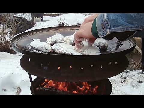 Видео: Жареная рыба на садже