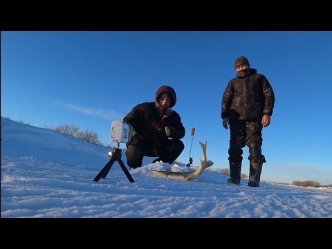 Видео: Рыбалка на Қарасу (Старица)...