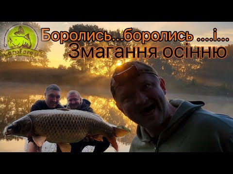 Видео: Коропова риболовля восени (змагання)