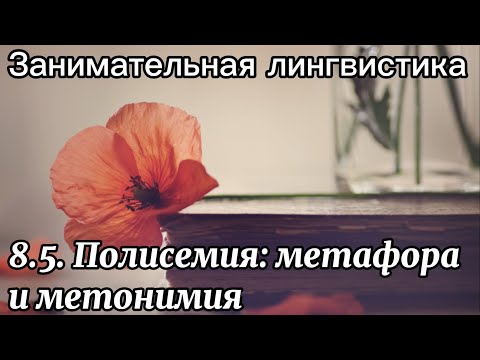 Видео: 8.5. Полисемия
