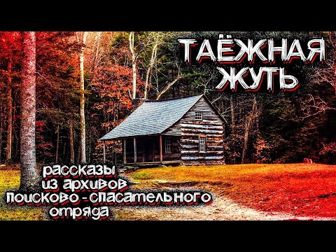 Видео: Ужас ТАЙГИ. Рассказы из Архивов Поисково-Спасательных Групп | Мистические Страшные Истории на ночь