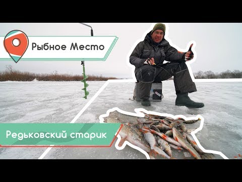 Видео: РЫБНОЕ МЕСТО. Зимняя рыбалка на безмотылку и жерлицы. Подводная съёмка.