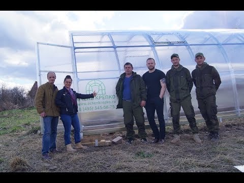 Видео: СБОРКА ТЕПЛИЦЫ ОЧЕНЬ КРЕПКО