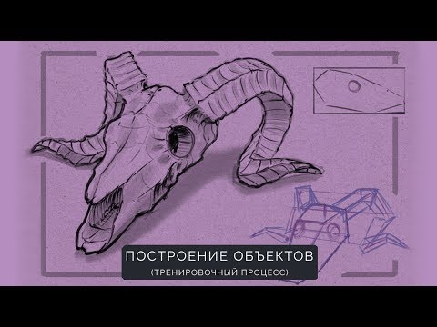 Видео: Построение объекта. Череп барана. Тренировочный процесс.