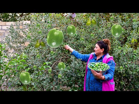Видео: Собираем сочные плоды фейхоа и делаем ХОЛОДНЫЙ ДЖЕМ и фруктовый СОК
