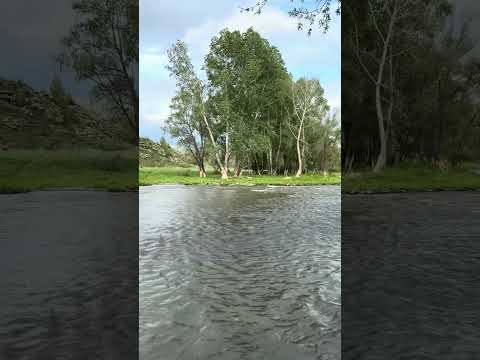 Видео: Усть-Каменогорск, река Аблакетка.