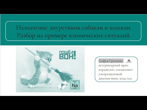 Видео: Диуретики собакам и кошкам: что важно знать? |Какие диуретики лишь ухудшат состояние кардиопациента?