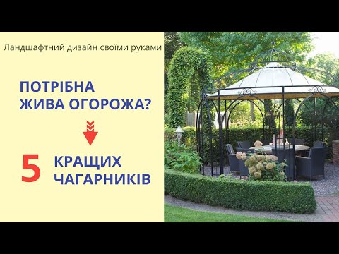 Видео: 5 лучших кустарников для живой изгороди